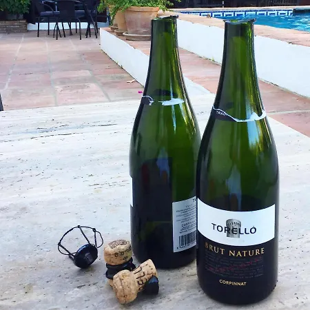 El Molino Hotell Estepona