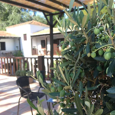 El Molino *
